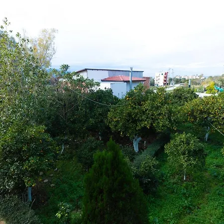 Sulo Tatil Evi *