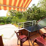Sulo Vlora